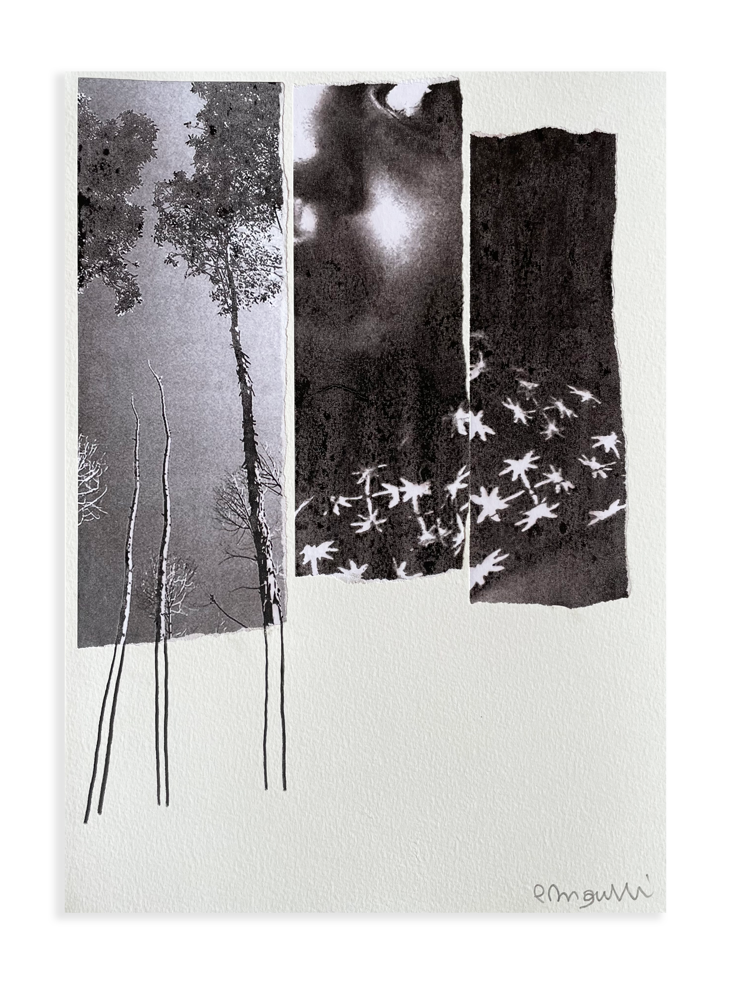 Sem título // Patricia Bigarelli