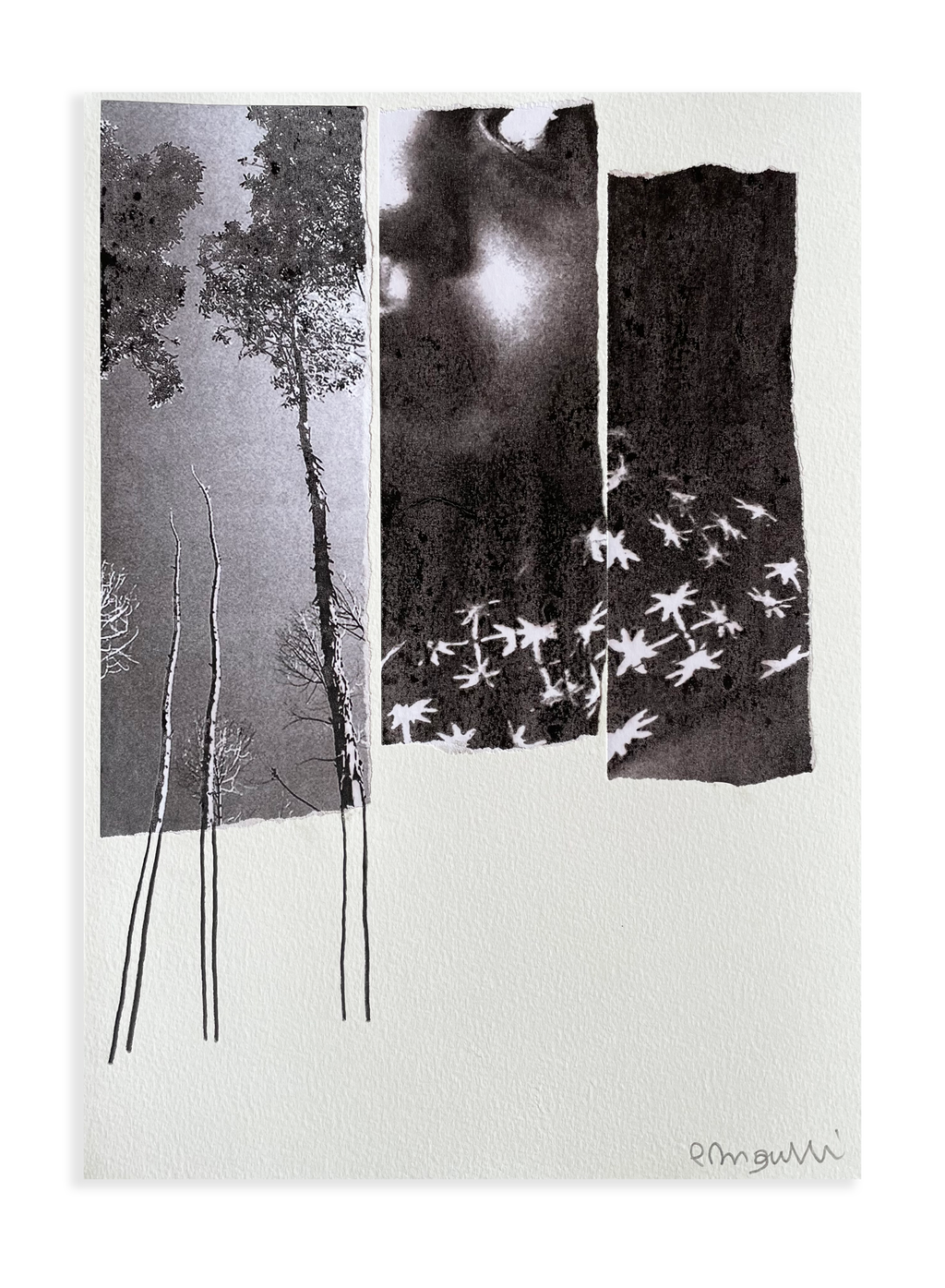 Sem título // Patricia Bigarelli