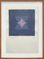 Sem título // Ricardo Bueno