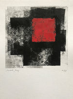 Sem título // Ricardo Bueno