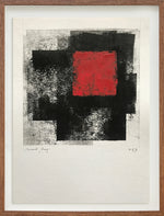 Sem título // Ricardo Bueno