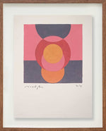 Sem título // Ricardo Bueno