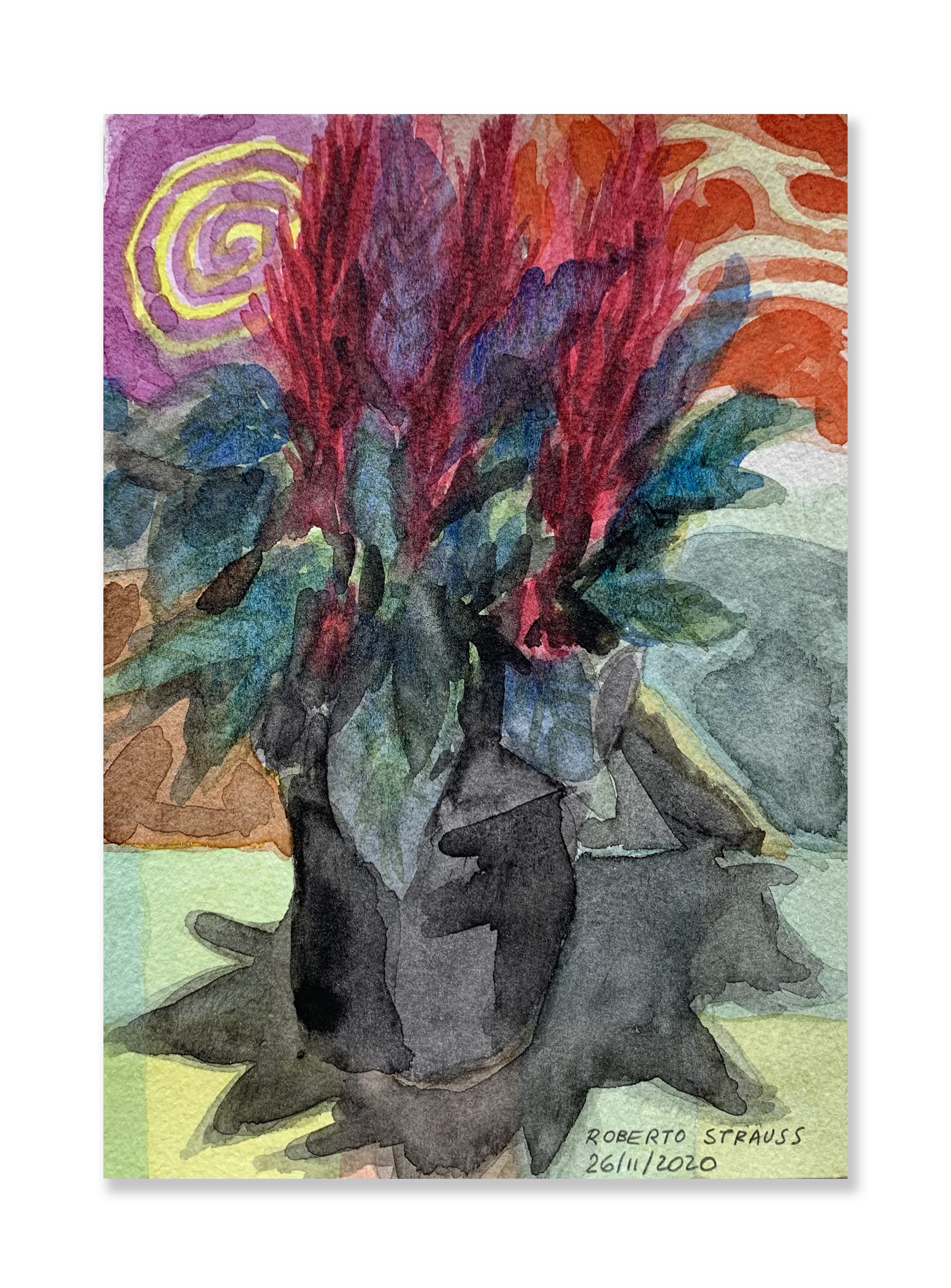 Sem título // Roberto Strauss