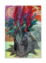 Sem título // Roberto Strauss