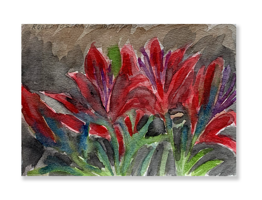 Sem título // Roberto Strauss