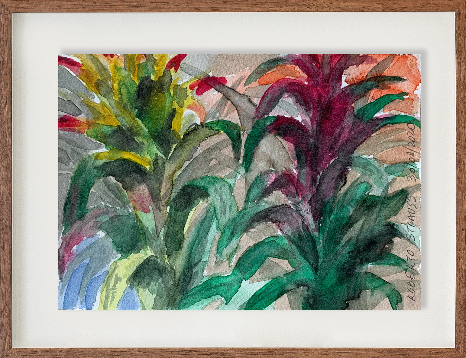 Sem título // Roberto Strauss