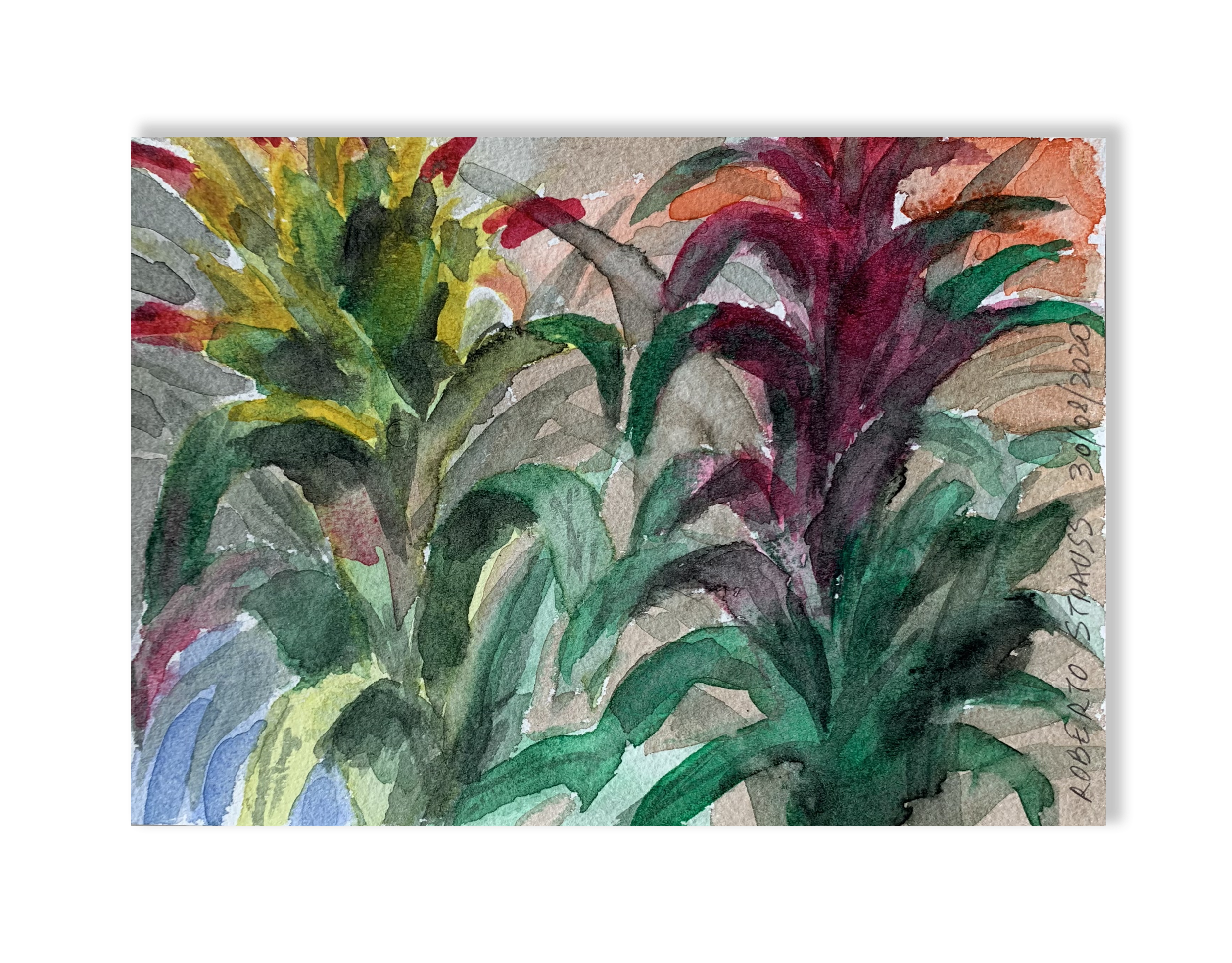 Sem título // Roberto Strauss