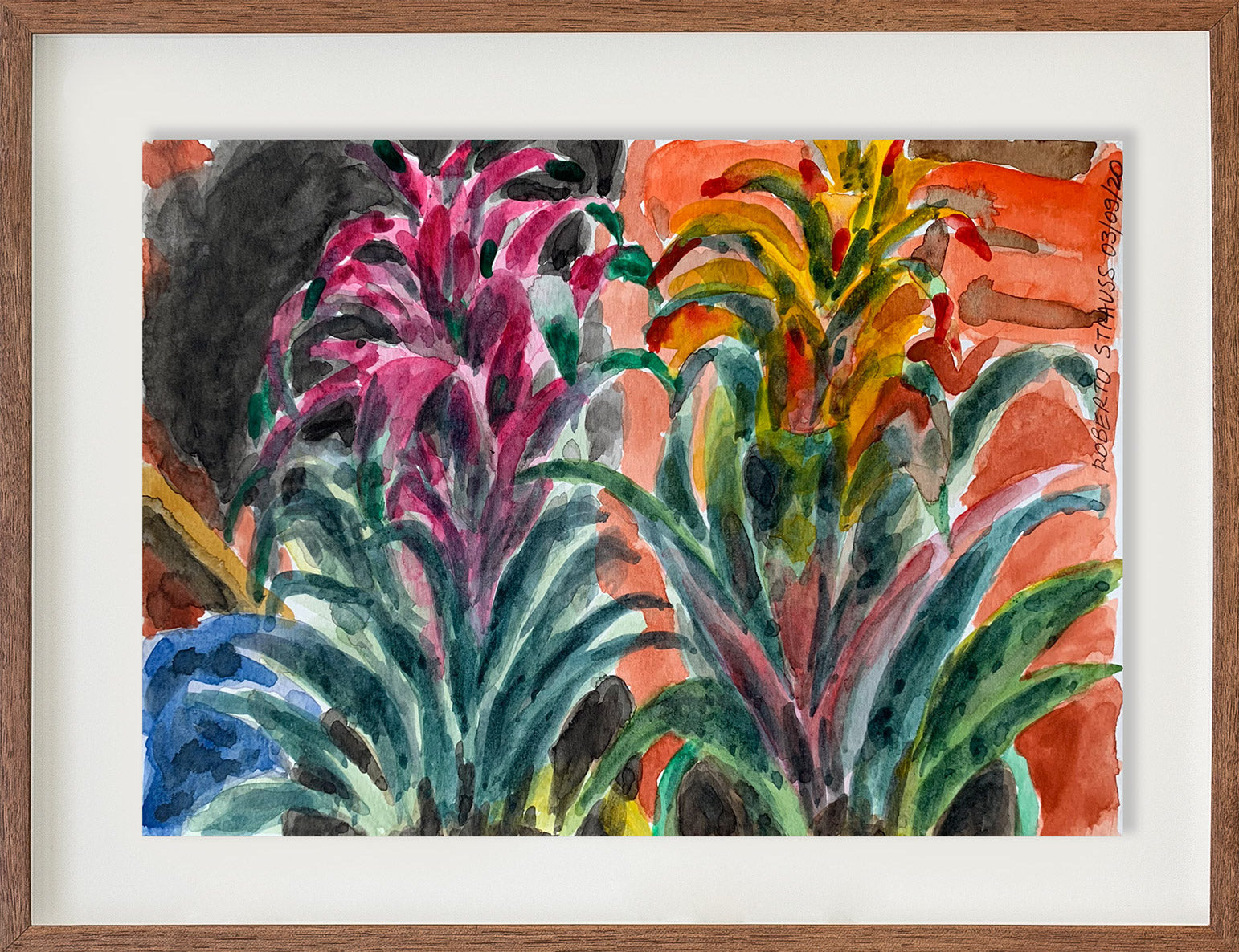 Sem título // Roberto Strauss