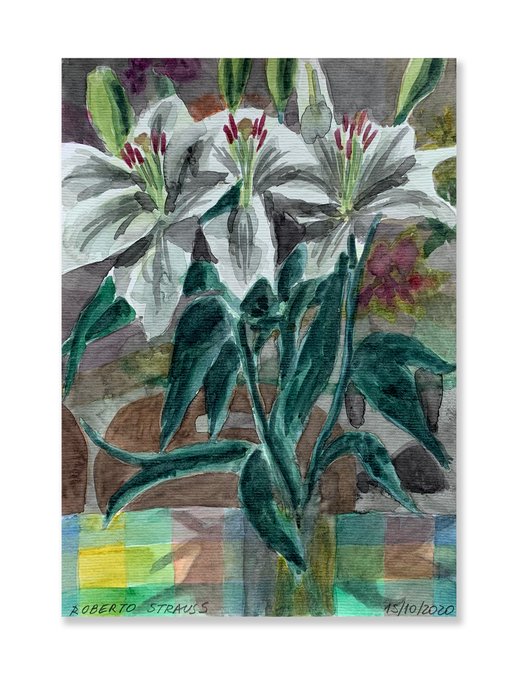 Sem título // Roberto Strauss