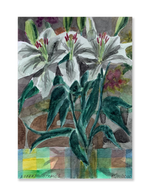 Sem título // Roberto Strauss