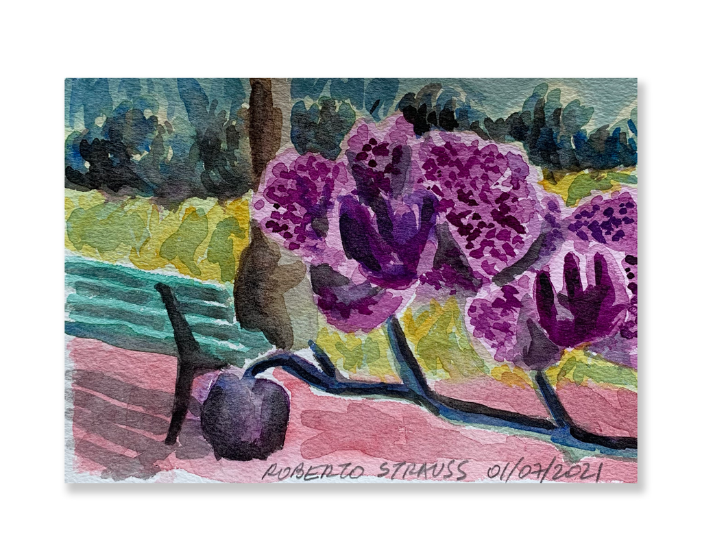 Sem título // Roberto Strauss