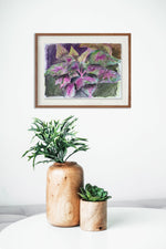 Sem título // Roberto Strauss