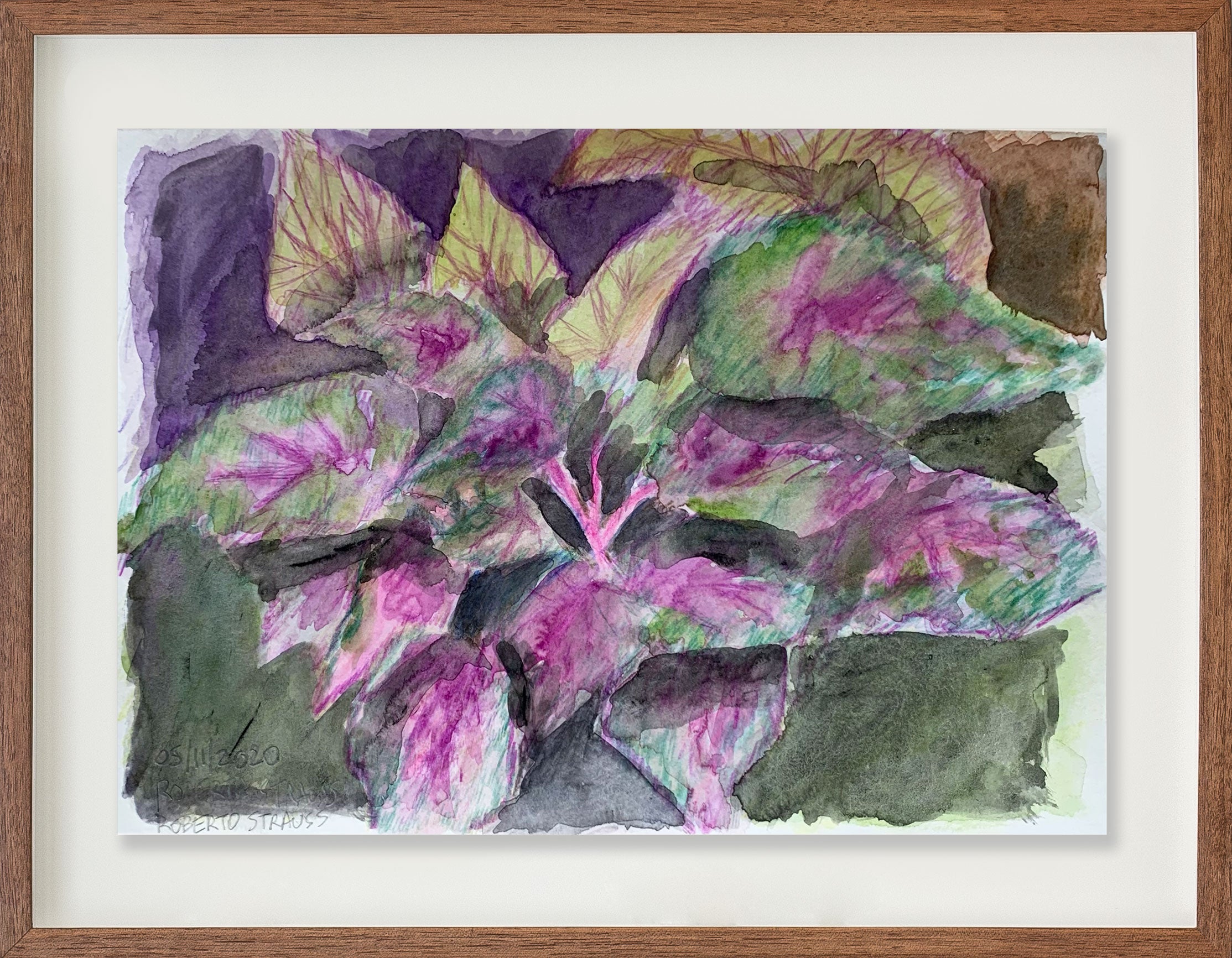 Sem título // Roberto Strauss