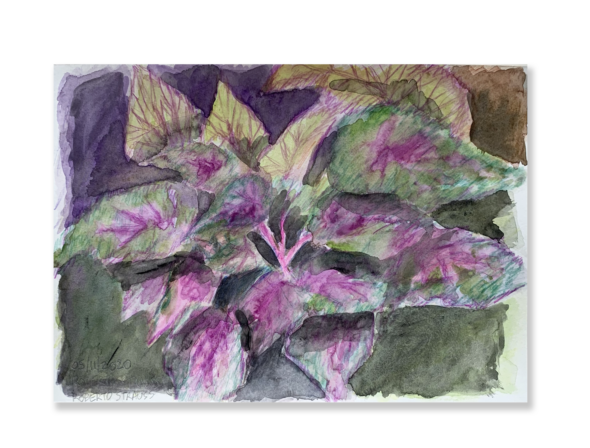 Sem título // Roberto Strauss