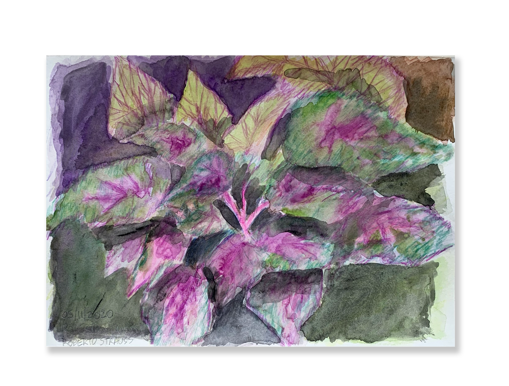 Sem título // Roberto Strauss