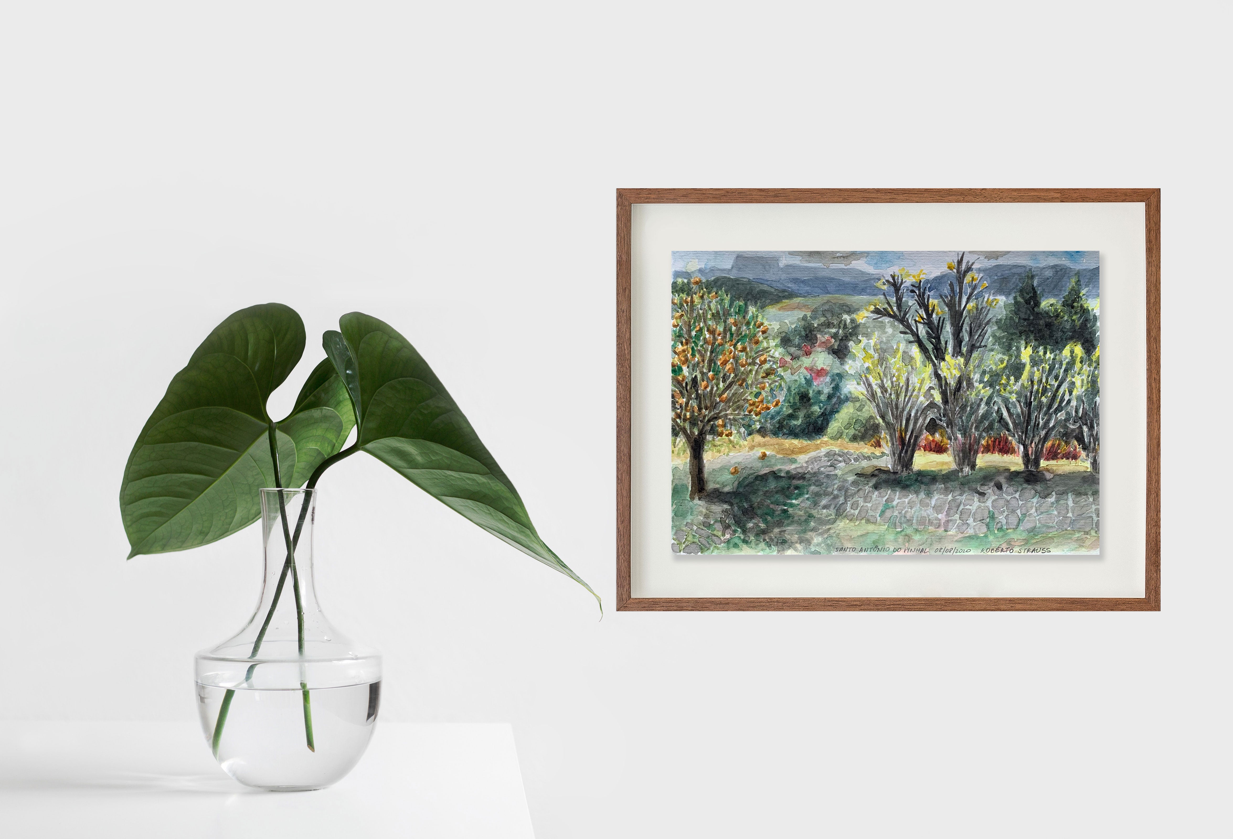 Sem título // Roberto Strauss