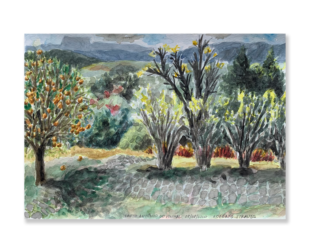 Sem título // Roberto Strauss