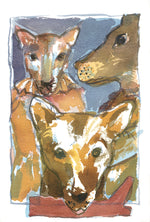 Série 'Anúncios carentes de bichos abandonados por gente' // Rubens Matuck