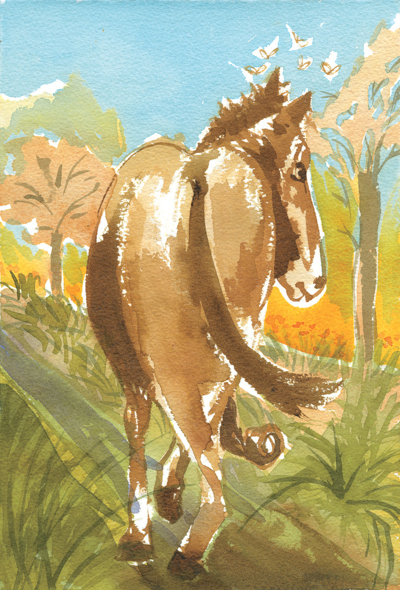 Série 'Anúncios carentes de bichos abandonados por gente' // Rubens Matuck