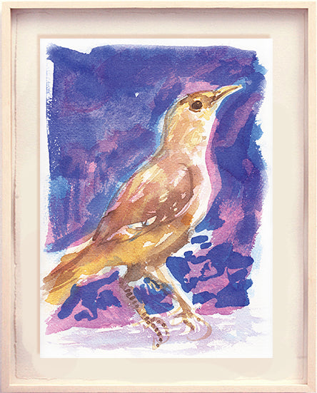 Série 'O joão-de-barro' // Rubens Matuck