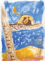 Série 'O joão-de-barro' // Rubens Matuck