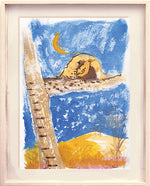 Série 'O joão-de-barro' // Rubens Matuck