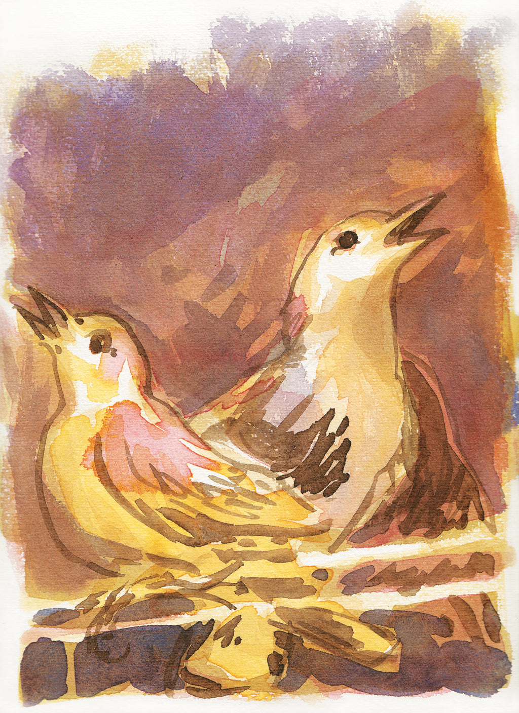 Série 'O joão-de-barro' // Rubens Matuck