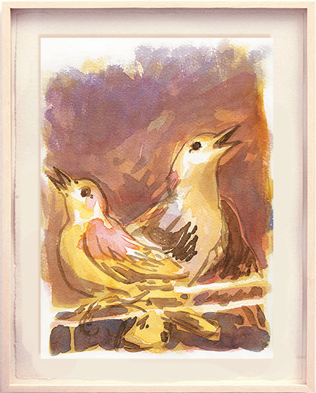 Série 'O joão-de-barro' // Rubens Matuck