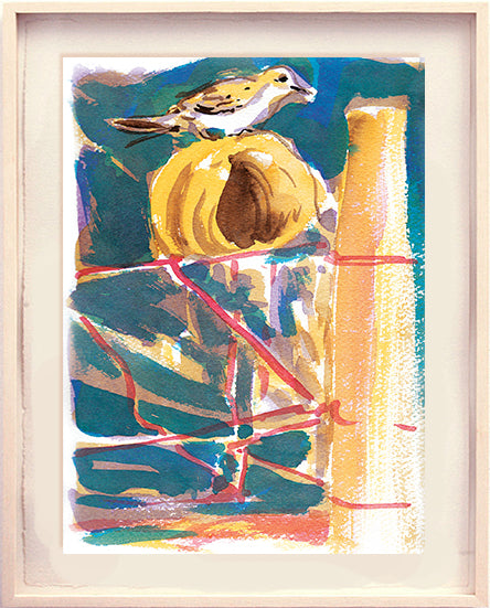 Série 'O joão-de-barro' // Rubens Matuck