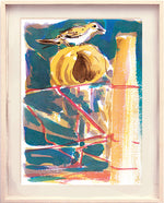 Série 'O joão-de-barro' // Rubens Matuck