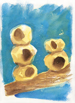 Série 'O joão-de-barro' // Rubens Matuck