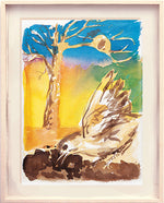 Série 'O joão-de-barro' // Rubens Matuck