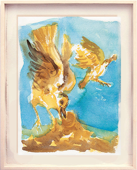 Série 'O joão-de-barro' // Rubens Matuck