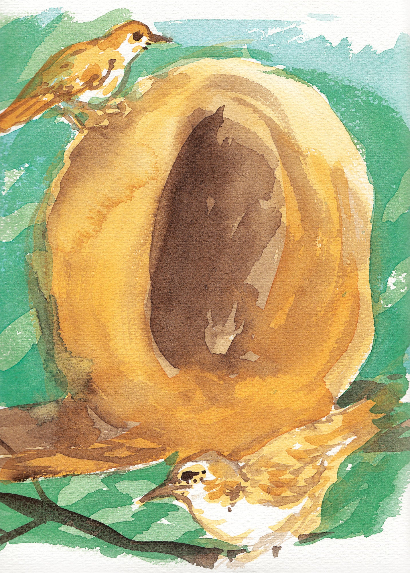 Série 'O joão-de-barro' // Rubens Matuck