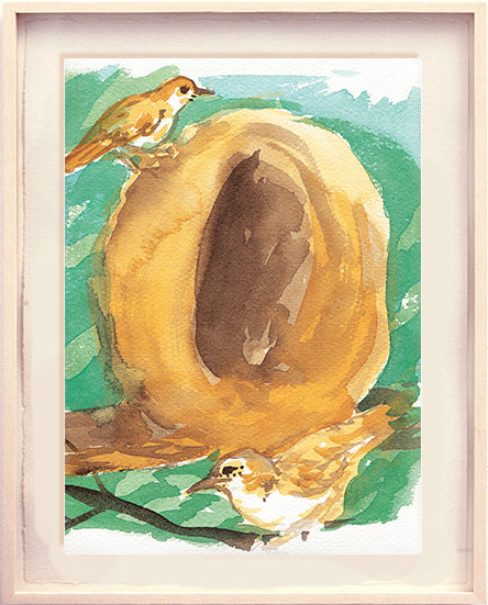 Série 'O joão-de-barro' // Rubens Matuck