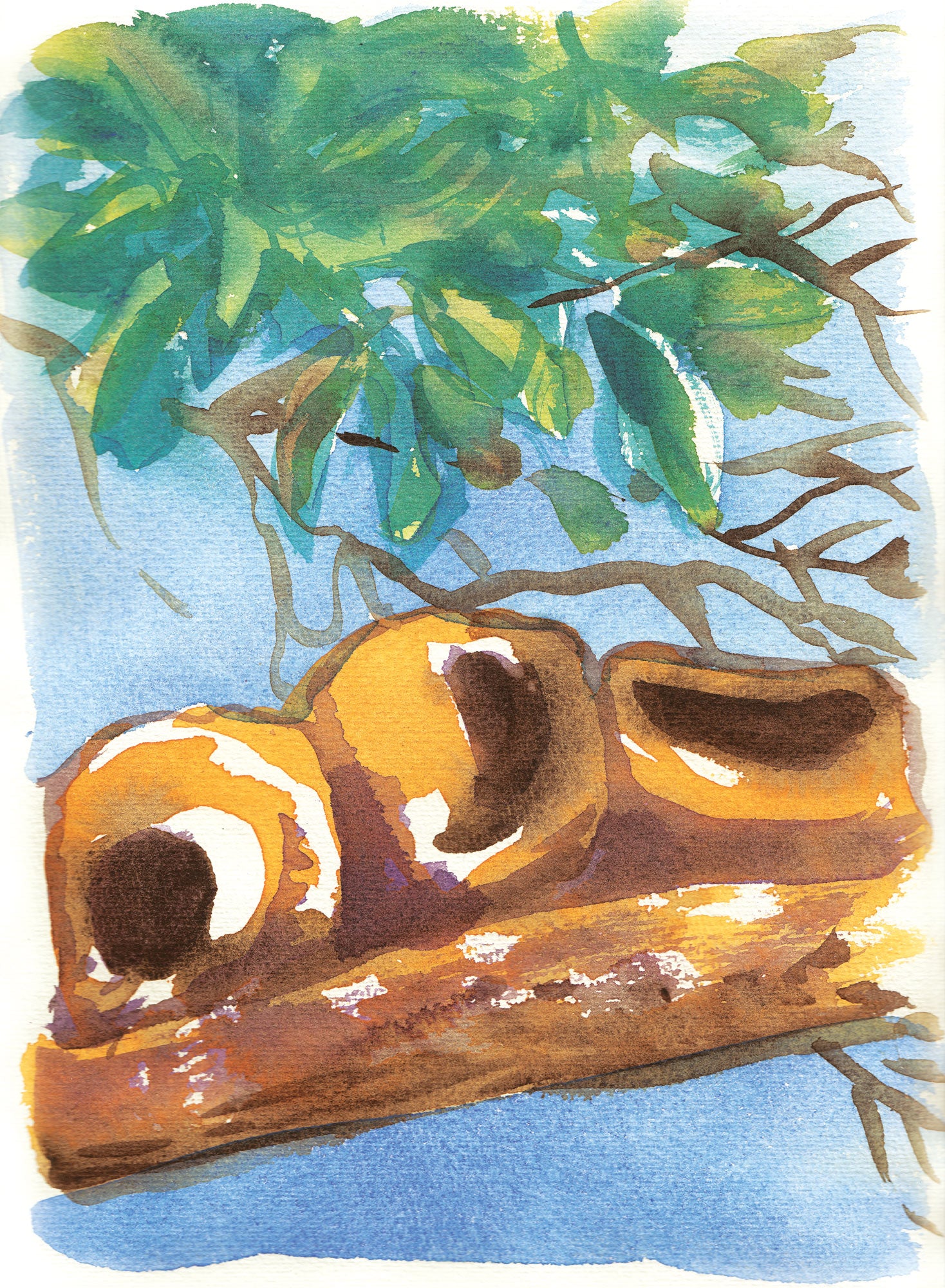 Série 'O joão-de-barro' // Rubens Matuck