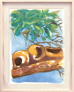 Série 'O joão-de-barro' // Rubens Matuck