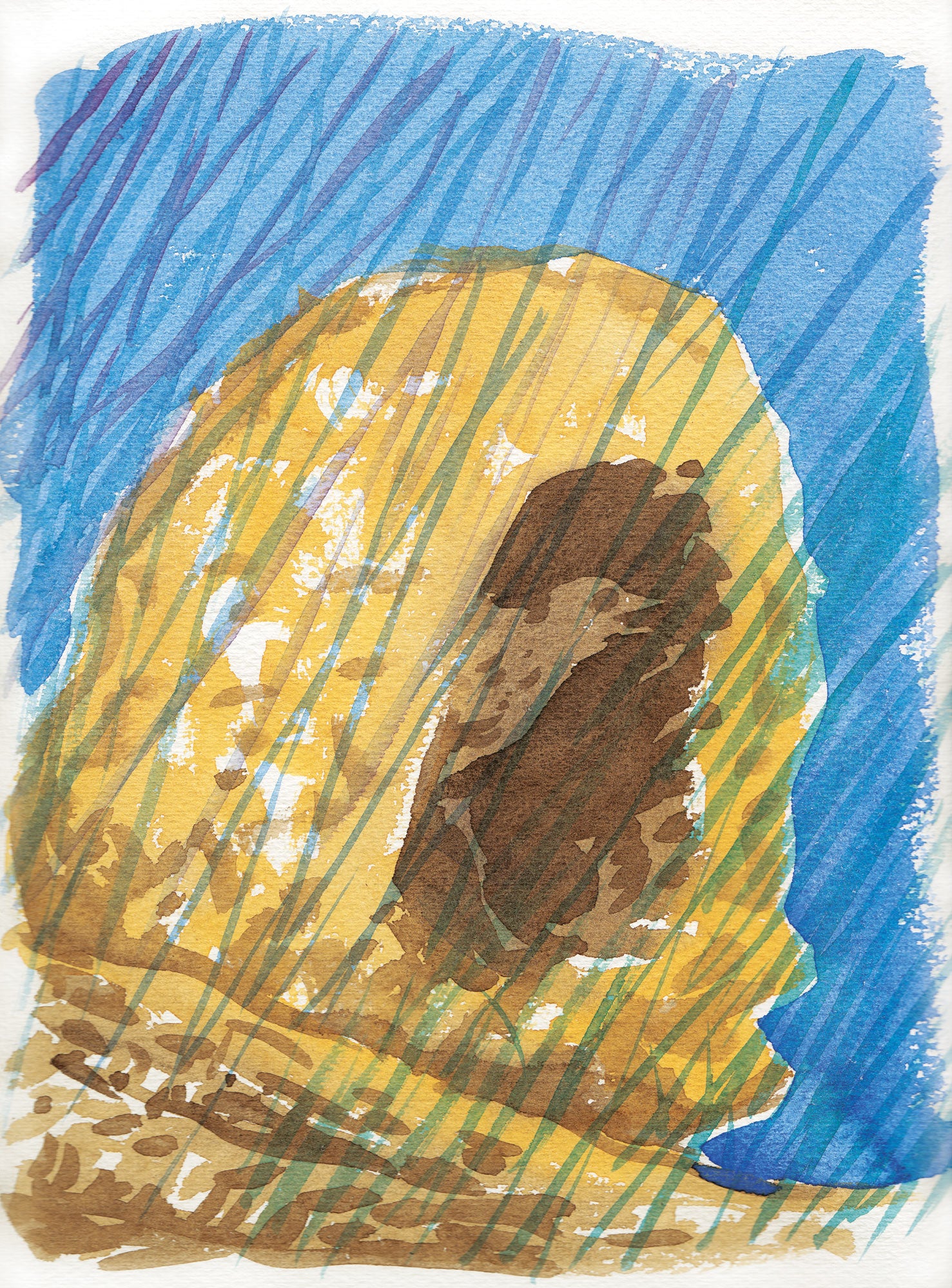 Série 'O joão-de-barro' // Rubens Matuck