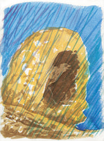 Série 'O joão-de-barro' // Rubens Matuck