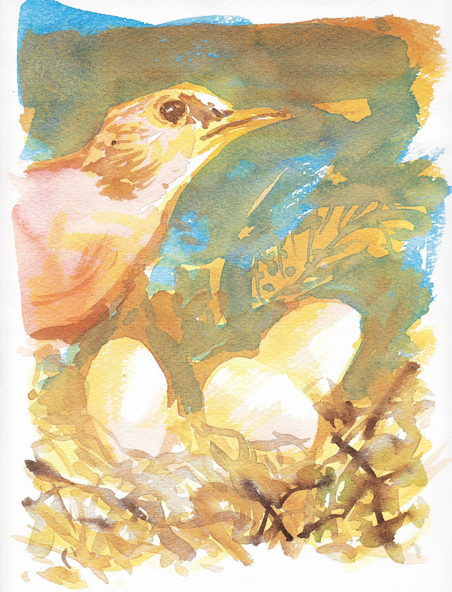 Série 'O joão-de-barro' // Rubens Matuck