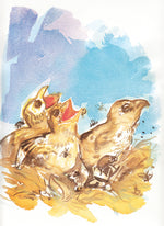 Série 'O joão-de-barro' // Rubens Matuck