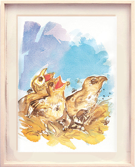 Série 'O joão-de-barro' // Rubens Matuck