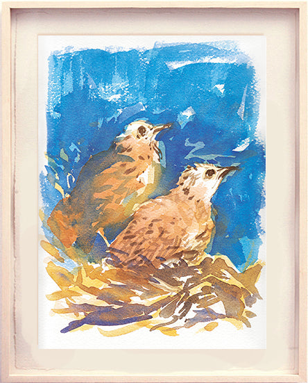 Série 'O joão-de-barro' // Rubens Matuck