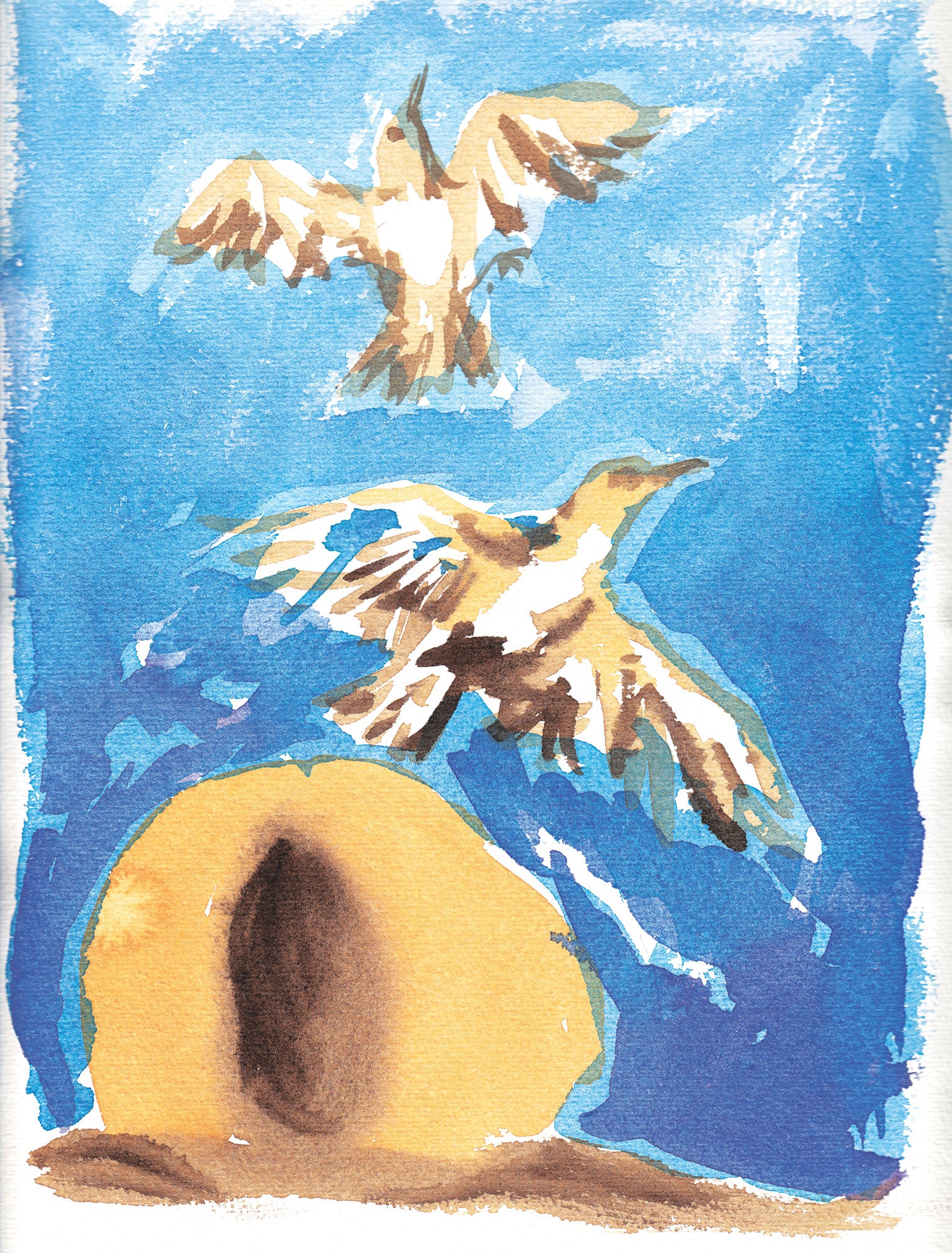 Série 'O joão-de-barro' // Rubens Matuck