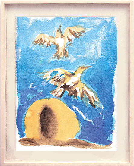 Série 'O joão-de-barro' // Rubens Matuck