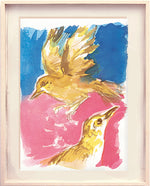 Série 'O joão-de-barro' // Rubens Matuck