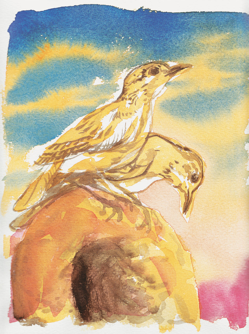 Série 'O joão-de-barro' // Rubens Matuck