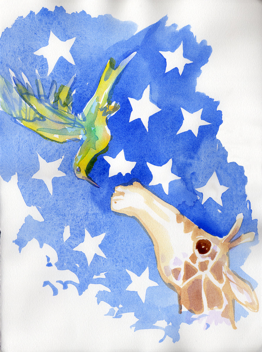 Série 'Anúncios amorosos dos bichos' // Rubens Matuck