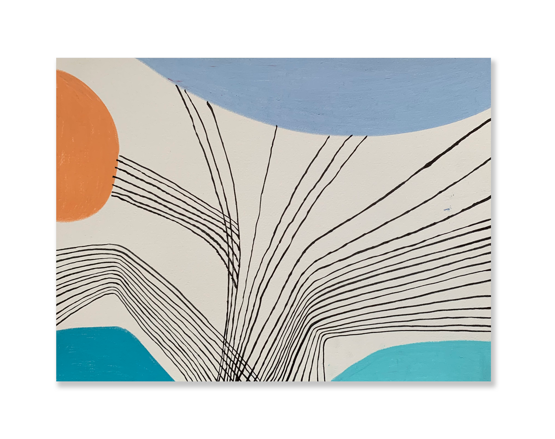 Árvore // Sandra Jávera