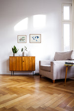 Pombinhas ao sol // Sandra Jávera